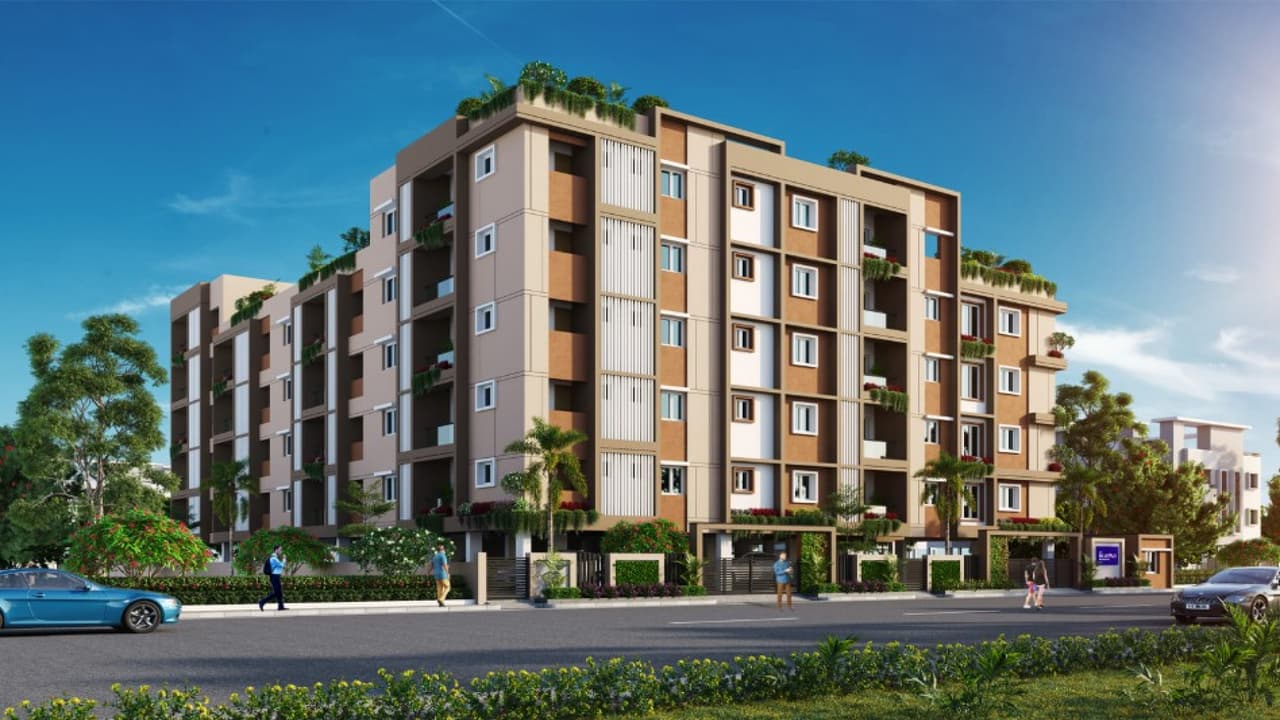 🏢 ATH Meadows 🏢 1